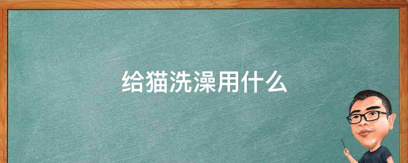 给猫洗澡用什么 给猫洗澡用什么洗