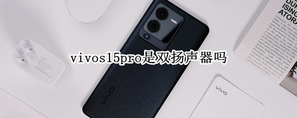 vivos15pro是双扬声器吗（vivos10pro是不是双扬声器）