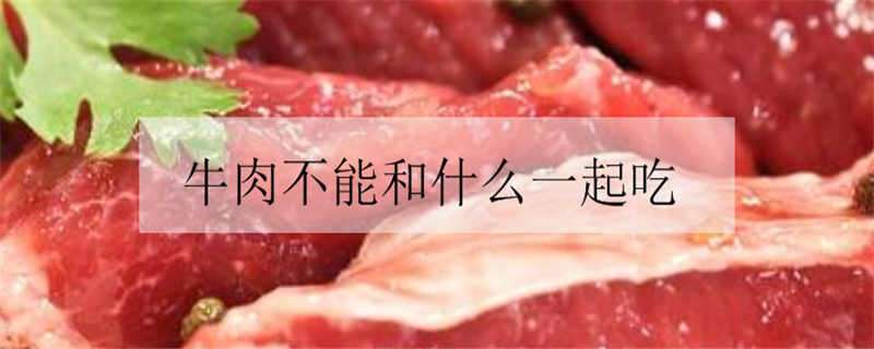 牛肉不能和什么一起吃（牛肉不能和什么一起吃相克）