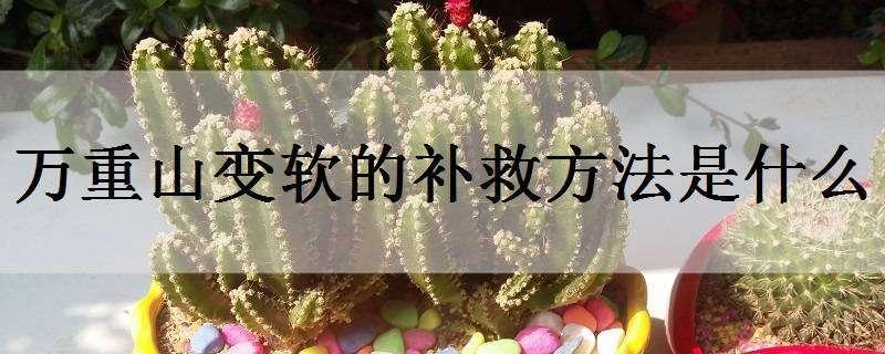 万重山变软的补救方法是什么 万重山变瘦变软怎么办