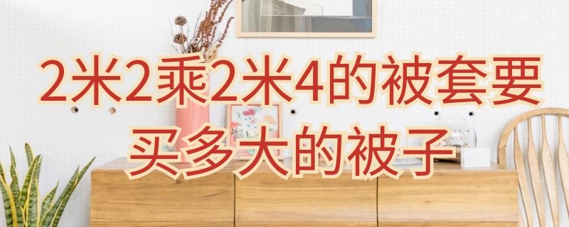 2米2乘2米4的被套要买多大的被子 被芯200x230被套选多大