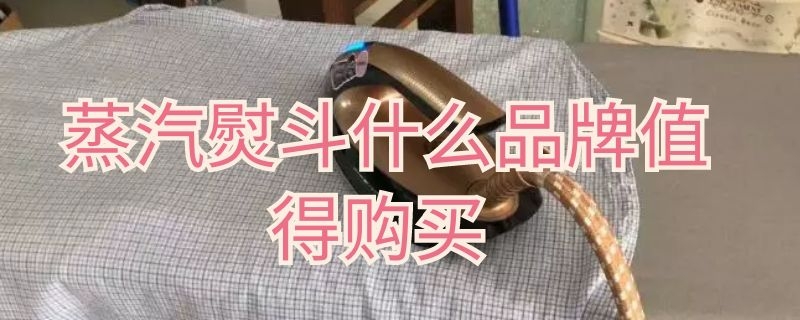 蒸汽熨斗什么品牌值得购买 蒸汽电熨斗哪个品牌好