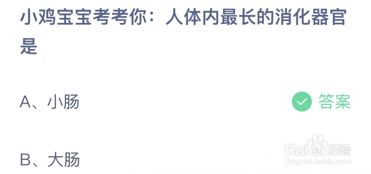 今日蚂蚁庄园小课堂最新答案8.18：人体内最长的消化器官是小肠还是大肠